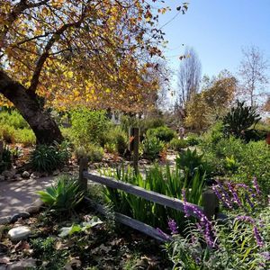 Meet your Posher, Ulises